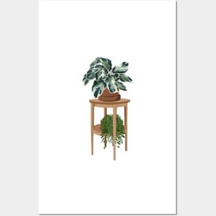 House plants collection 9.1 Posters and Art